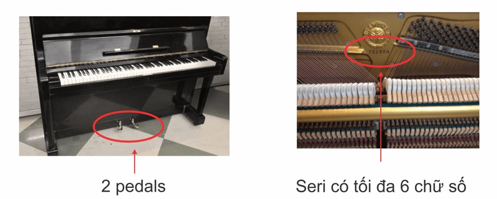 Model của đàn&nbsp;Yamaha